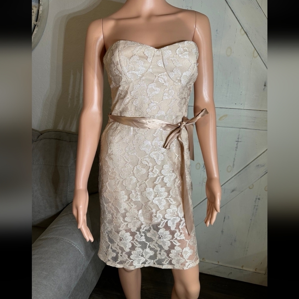 Elegant Cream Lace Strapless Dress